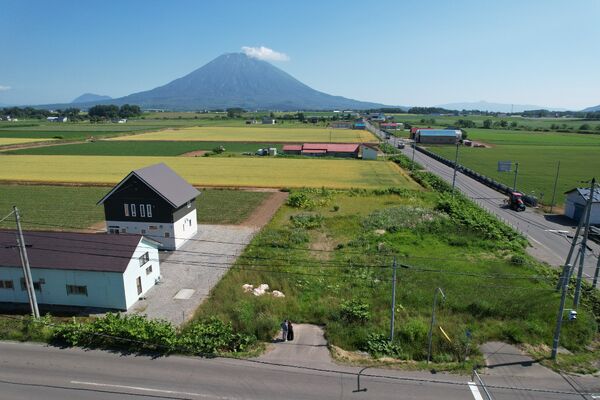 サムネイル画像