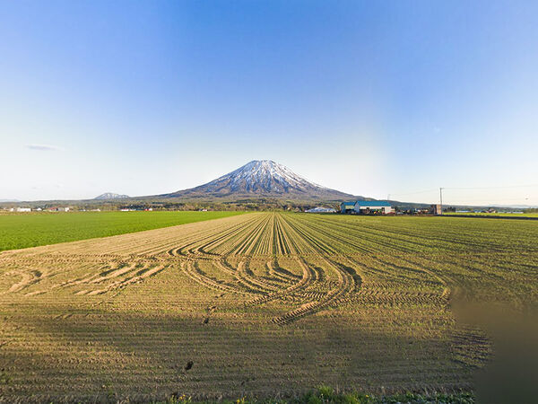 サムネイル画像